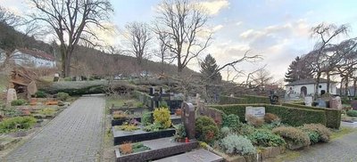 Umgestürzter Baum auf dem Friedhof Neckarsteinach